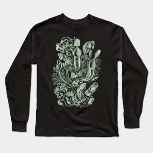 Ernst Haeckel Pitcher Plant Green Long Sleeve T-Shirt